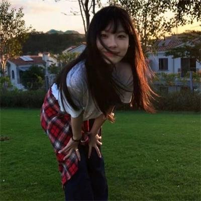 纽约爱音鳄